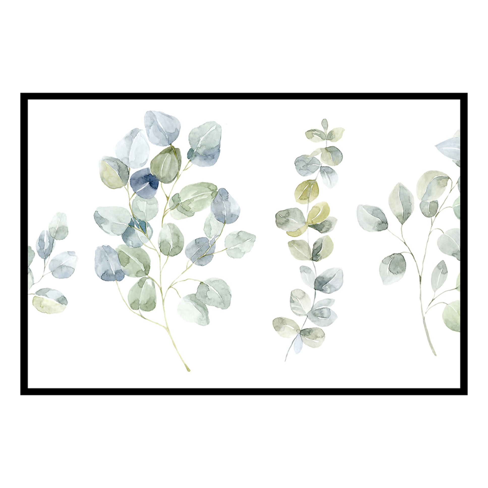 Affiche encadrée feuille eucalyptus illustration aquarelle Affiche + cadre en métal - Noir