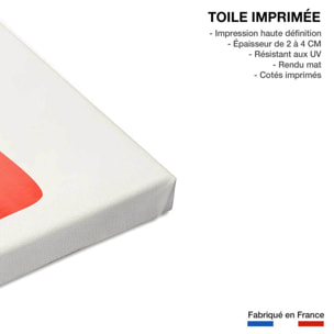 Tableau plante en conte de fée Toile imprimée