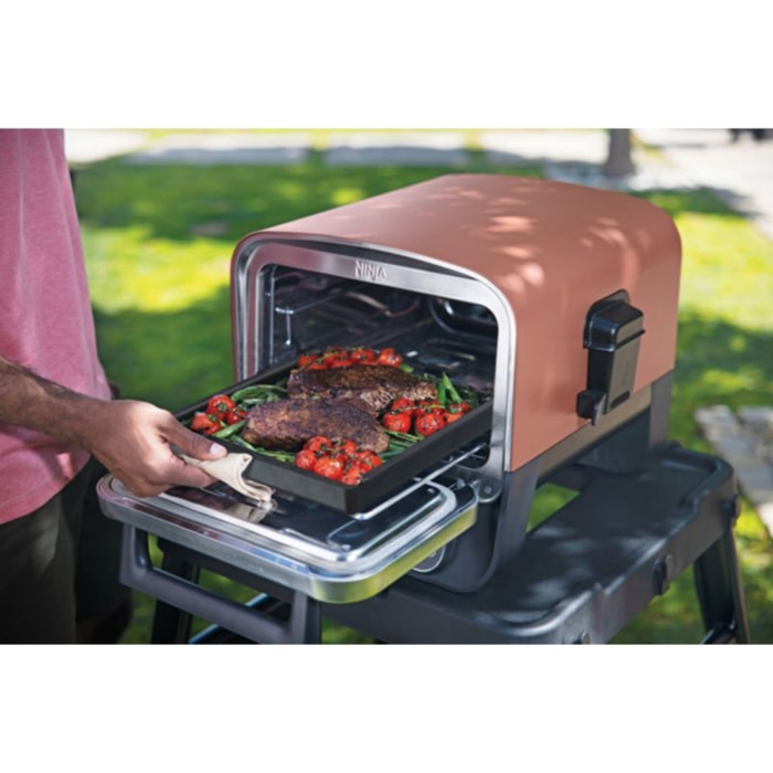 Plaque pizza barbecue NINJA Pour le four Woodfire XSKOOCIRNPEUK