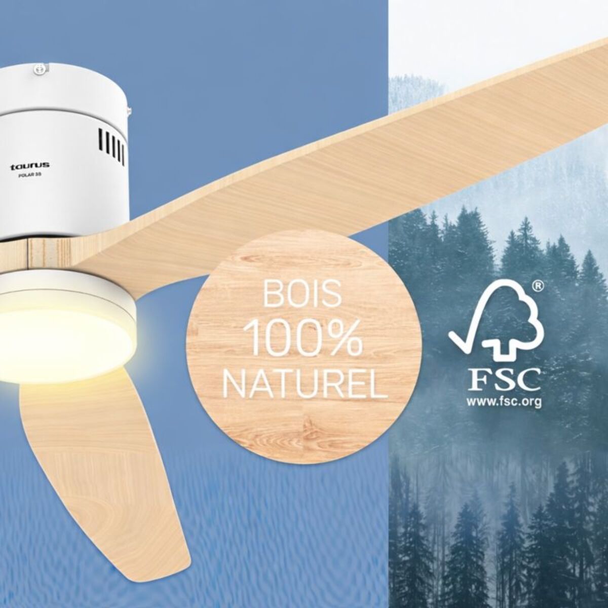 Ventilateur plafonnier TAURUS POLAR 3B