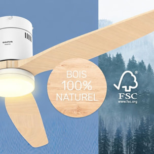 Ventilateur plafonnier TAURUS POLAR 3B