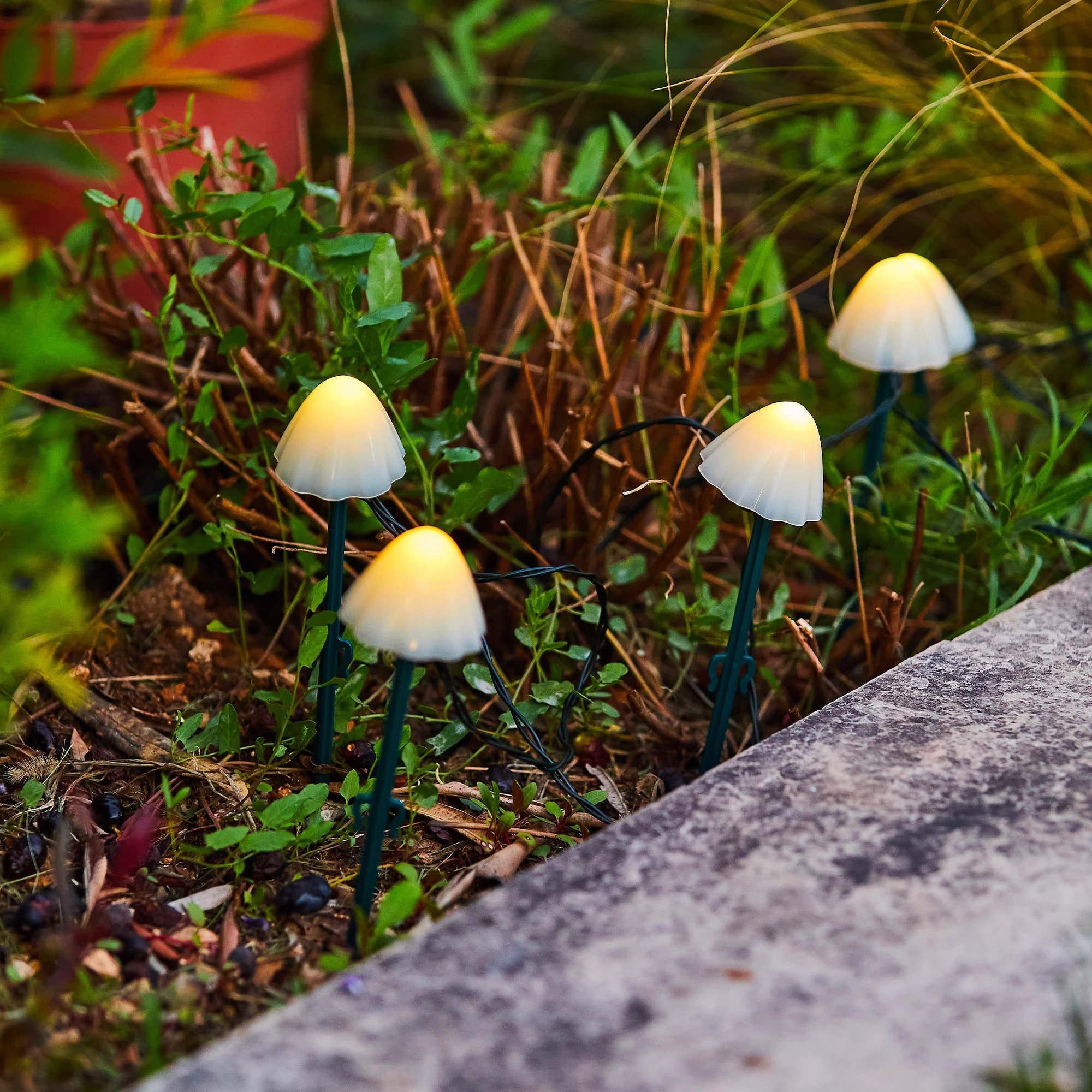 10 Champignon solaire CHAMPY 3.8M