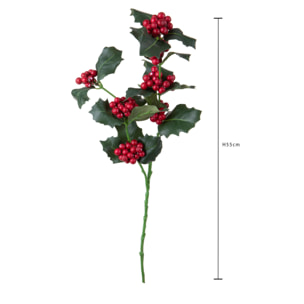 Agrifoglio - Pezzi 24 - 20xH55x6cm - Bianchi Dino SpA