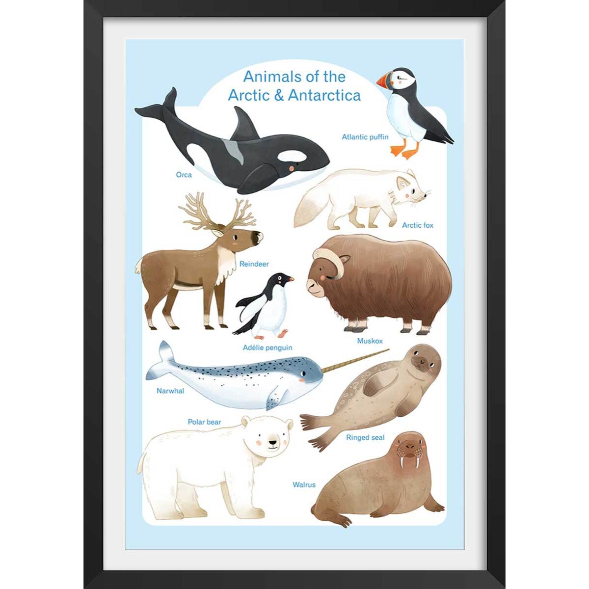 Affiche enfant animaux polaires  Affiche + cadre en bois - Noir