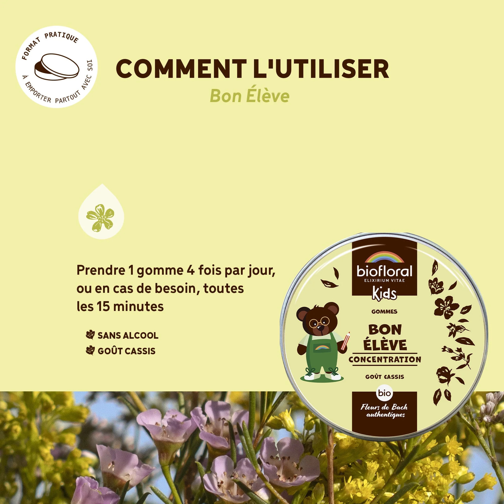 Biofloral - Bon élève gommes - Bio - 45 gr