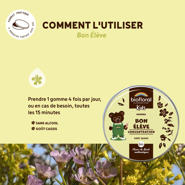 Biofloral - Bon élève gommes - Bio - 45 gr