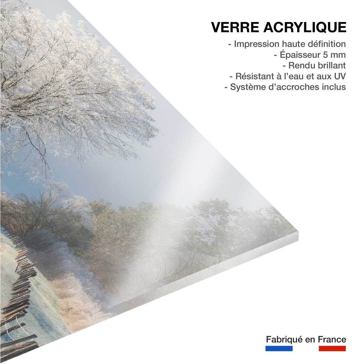 Tableau paysage Un matin glacial Tableau plexiglas