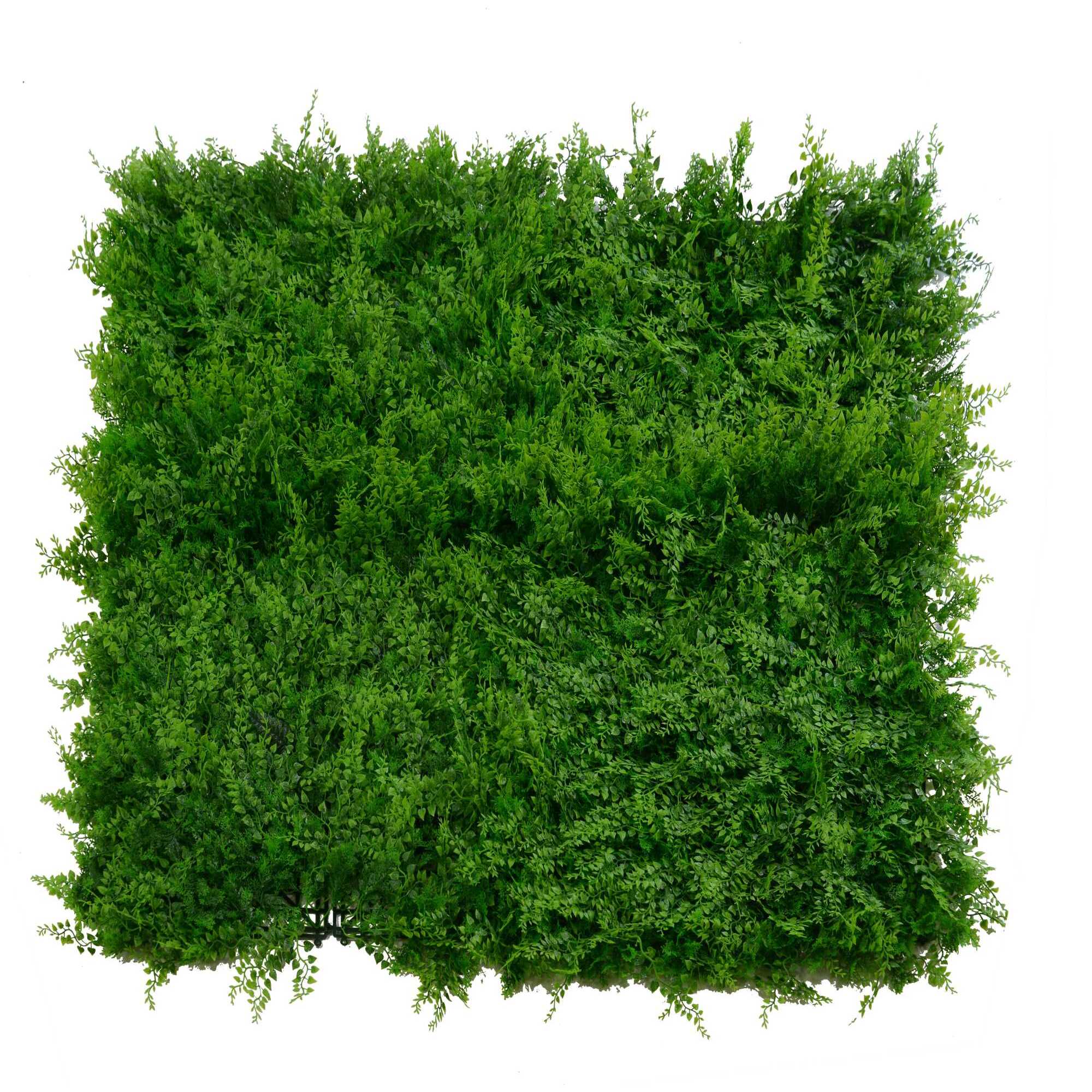 Parete verde verticale Vacchetti misto felce cm50x50