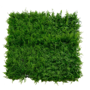 Parete verde verticale Vacchetti misto felce cm50x50