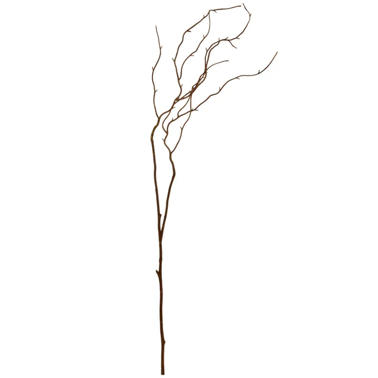 Branche décorative Nyer H.115cm marron