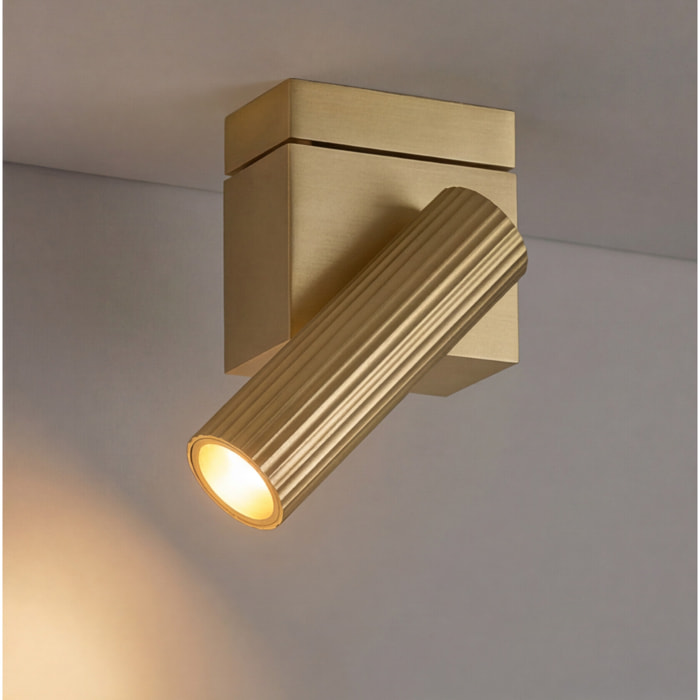 Ledsc4 - Proyector Prolix Single Aluminio, PMMA Oro mate, Transparente