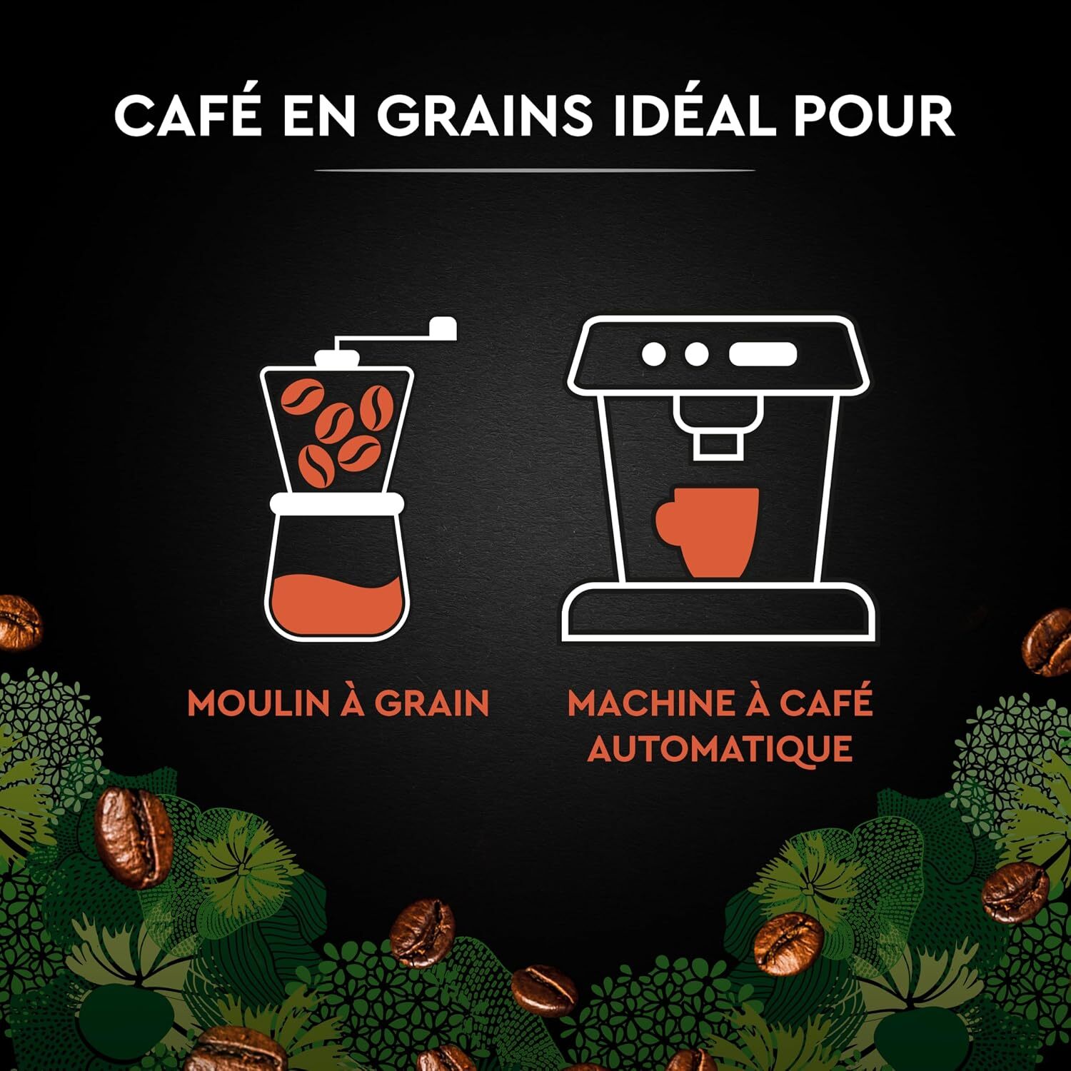 Café Grains Bio Intense - Pur Arabica Biologique. Paquet de 1 kg