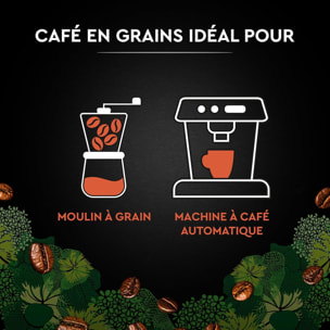 Café Grains Bio Intense - Pur Arabica Biologique. Paquet de 1 kg
