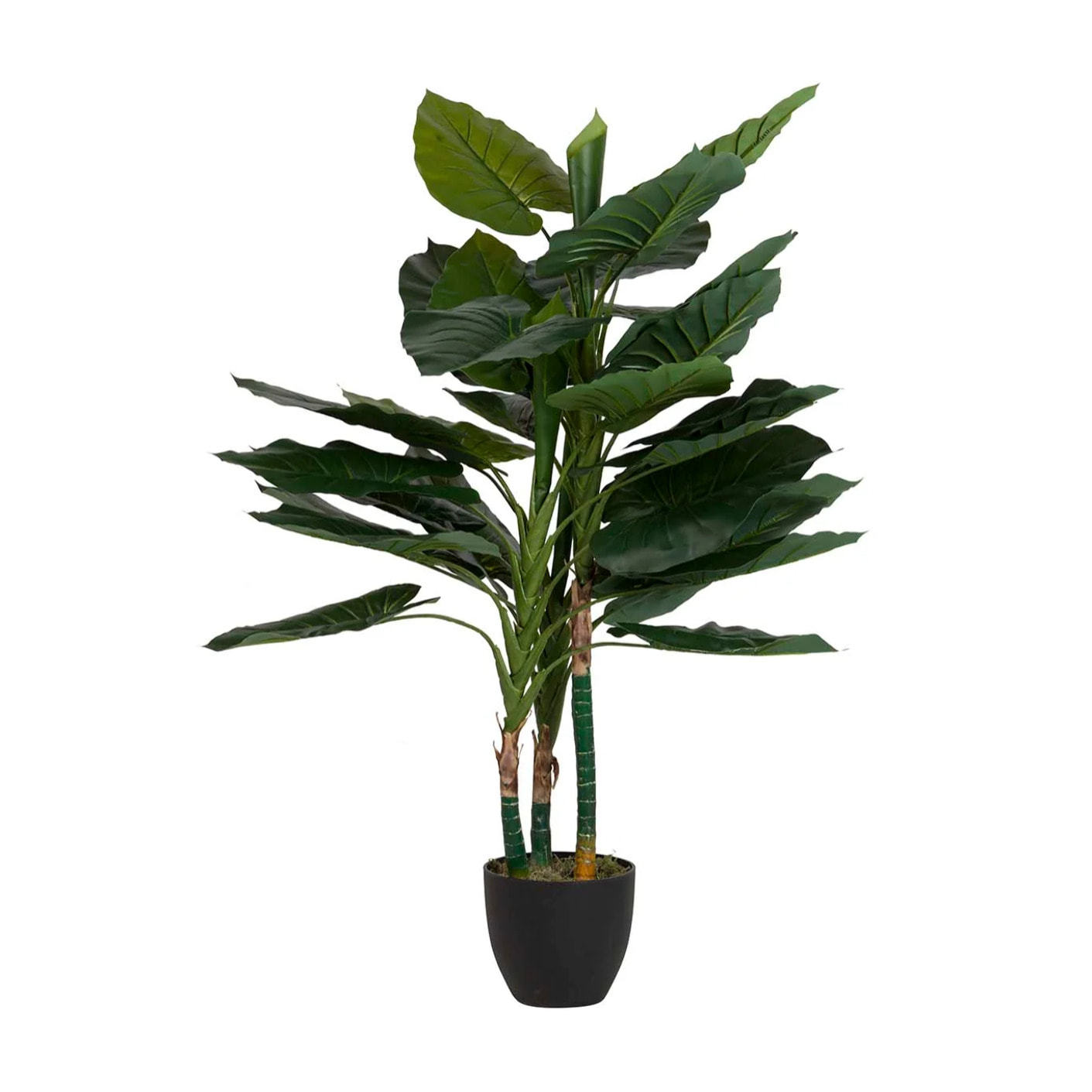 Planta Artificial Taro Con Maceta 80x80x133 Cm