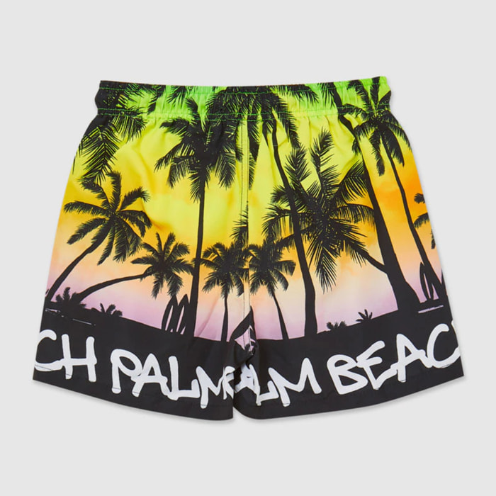 Boxer mare palme
