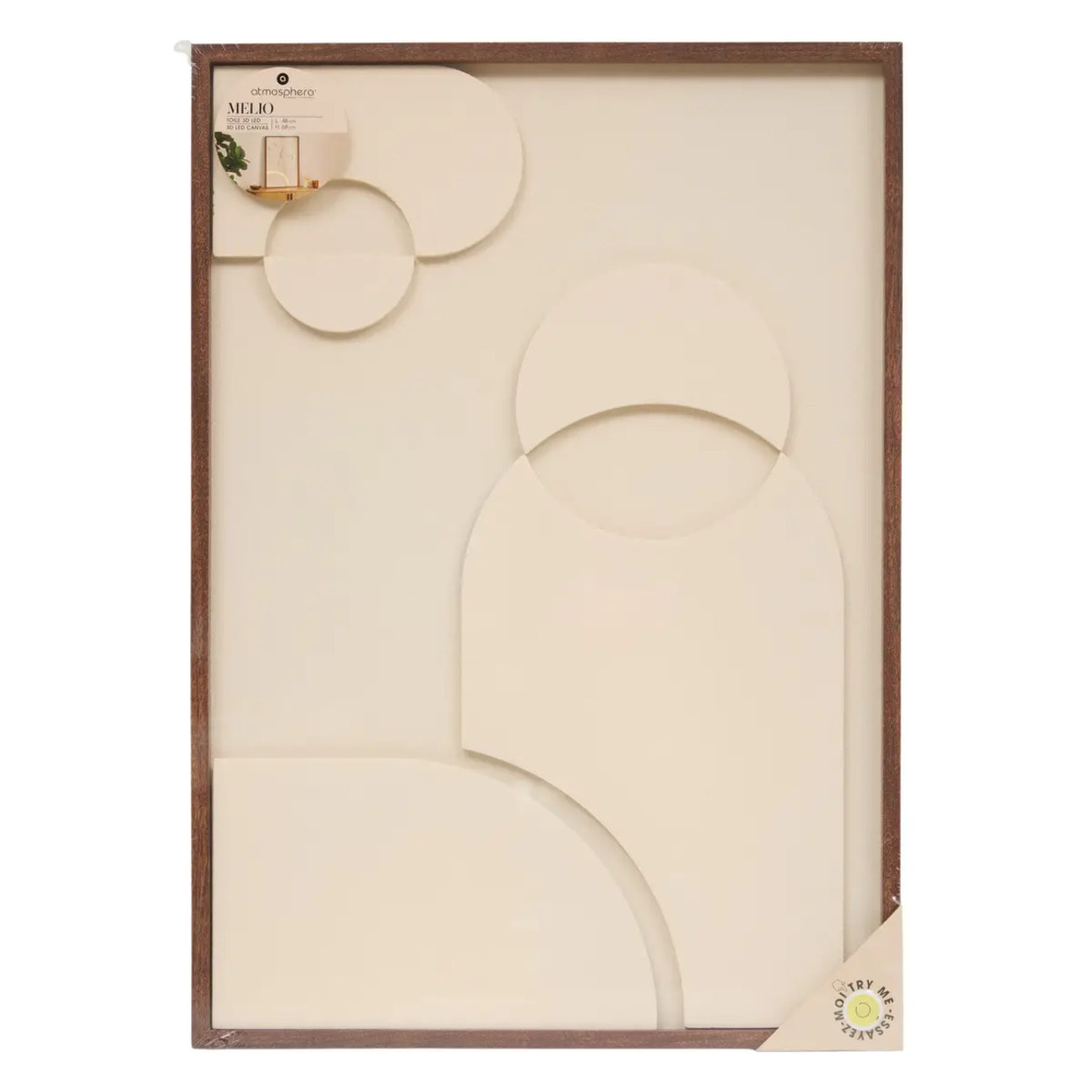 Toile LED Melio rectangulaire 48x68cm blanc