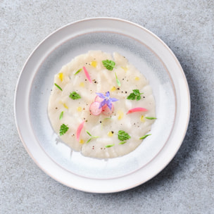 Lot de 20 Carpaccios de Noix de Saint Jacques surgelées - 20 x 35g