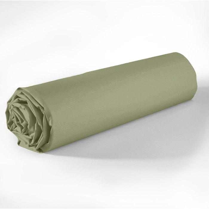 Drap housse coton verveine