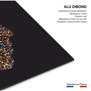 Tableau abstrait sensa Tableau alu Dibond