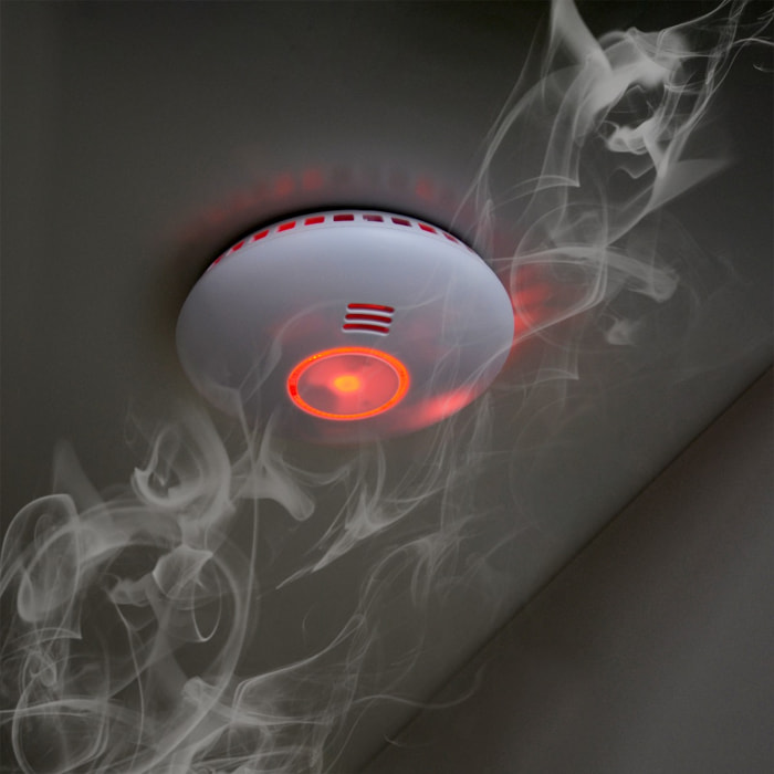 Lot de 2 détecteurs de fumée connectés HomeSmoke Avidsen