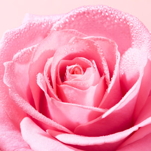 Very Rose - Eau micellaire apaisante 3-en-1 visage et yeux
