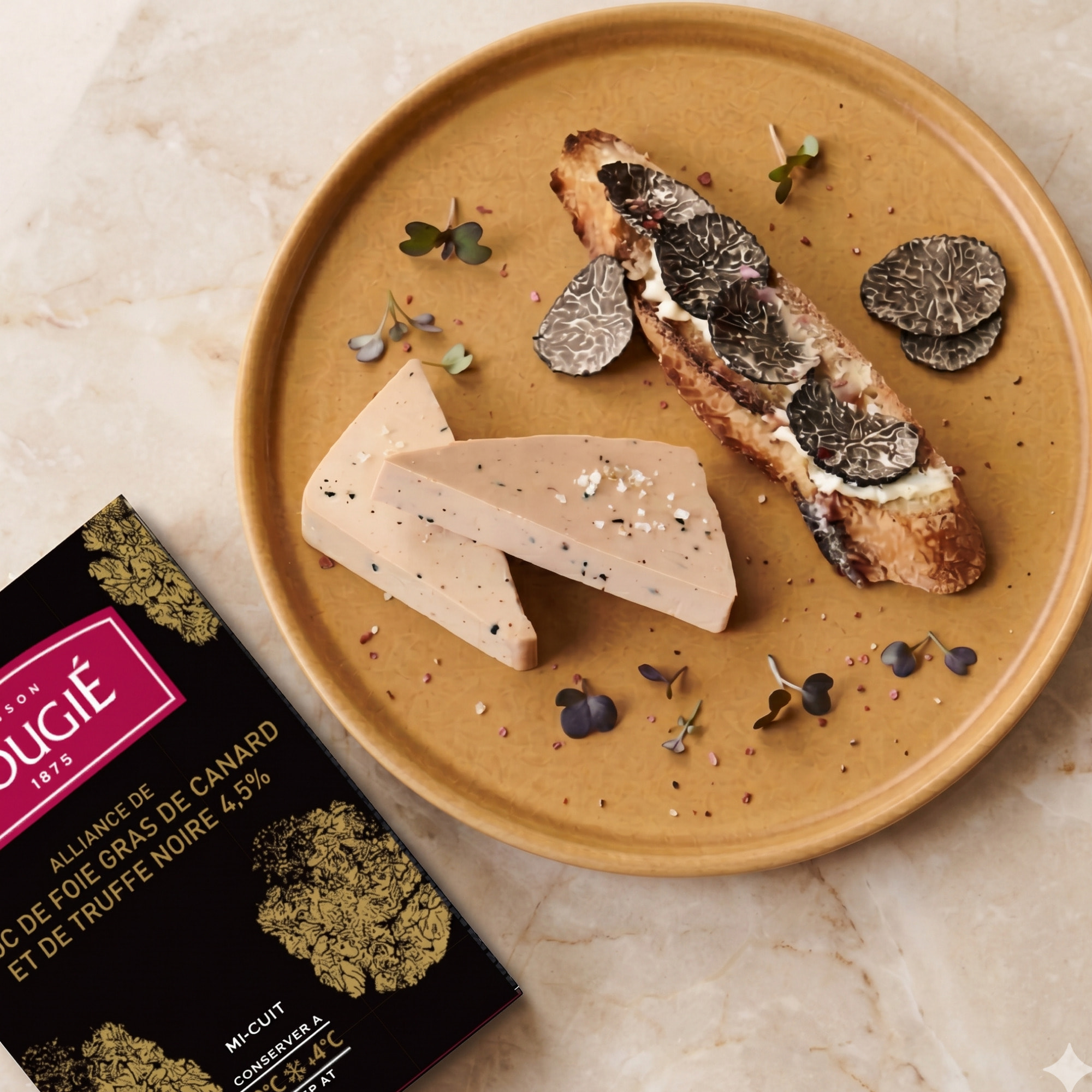 Lot de 2 alliance de bloc de foie gras à la truffe noire 4,5% - 160g x 2