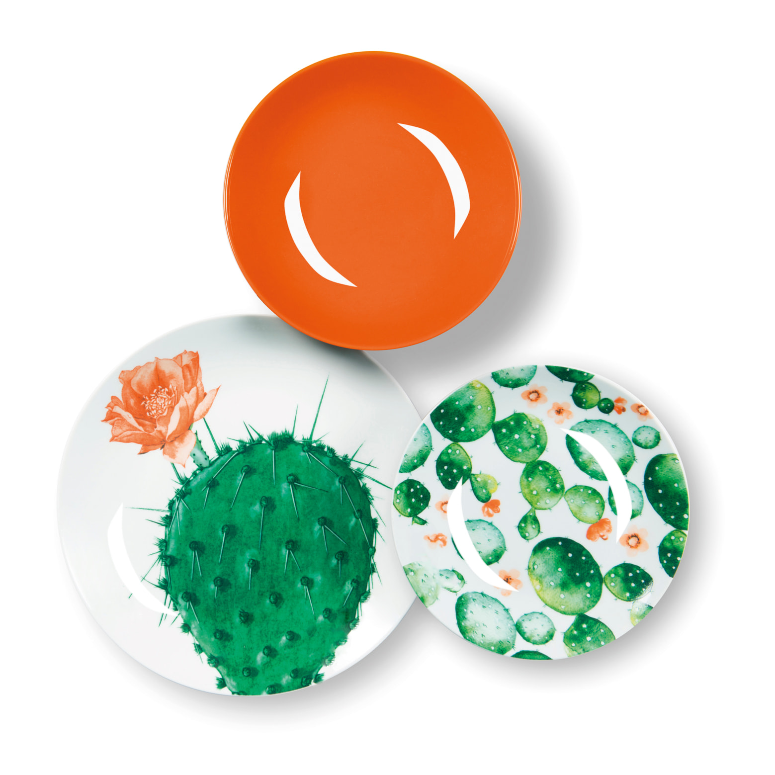 Servizio piatti 18 pezzi Excelsa – Color Cactus, Porcellana Multicolore