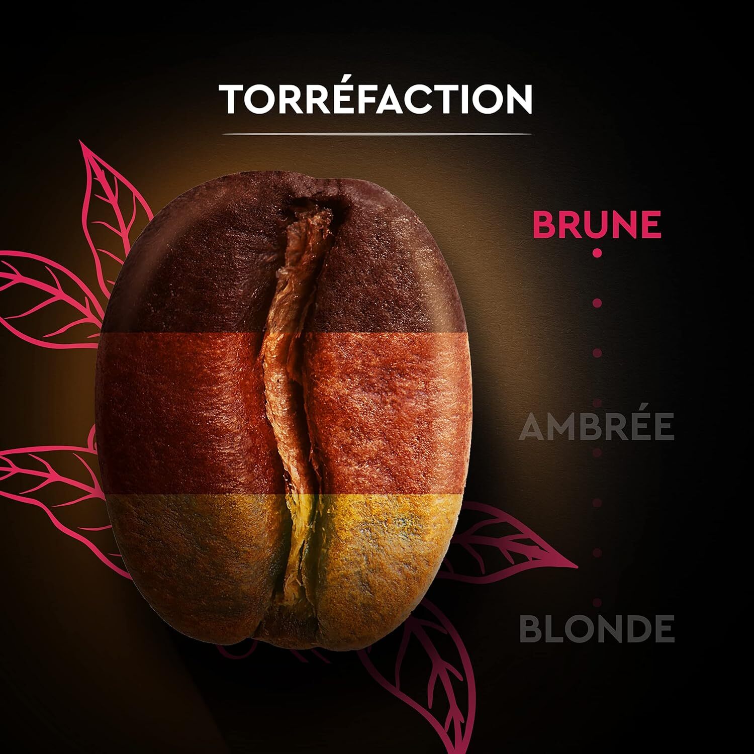 Grains Espresso 1 KG