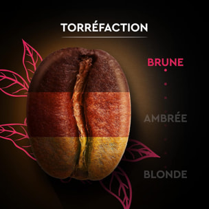 Grains Espresso 1 KG