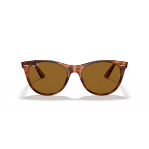 Ray-Ban Gafas de sol para cada estilo de vida RB2185 Wayfarer II