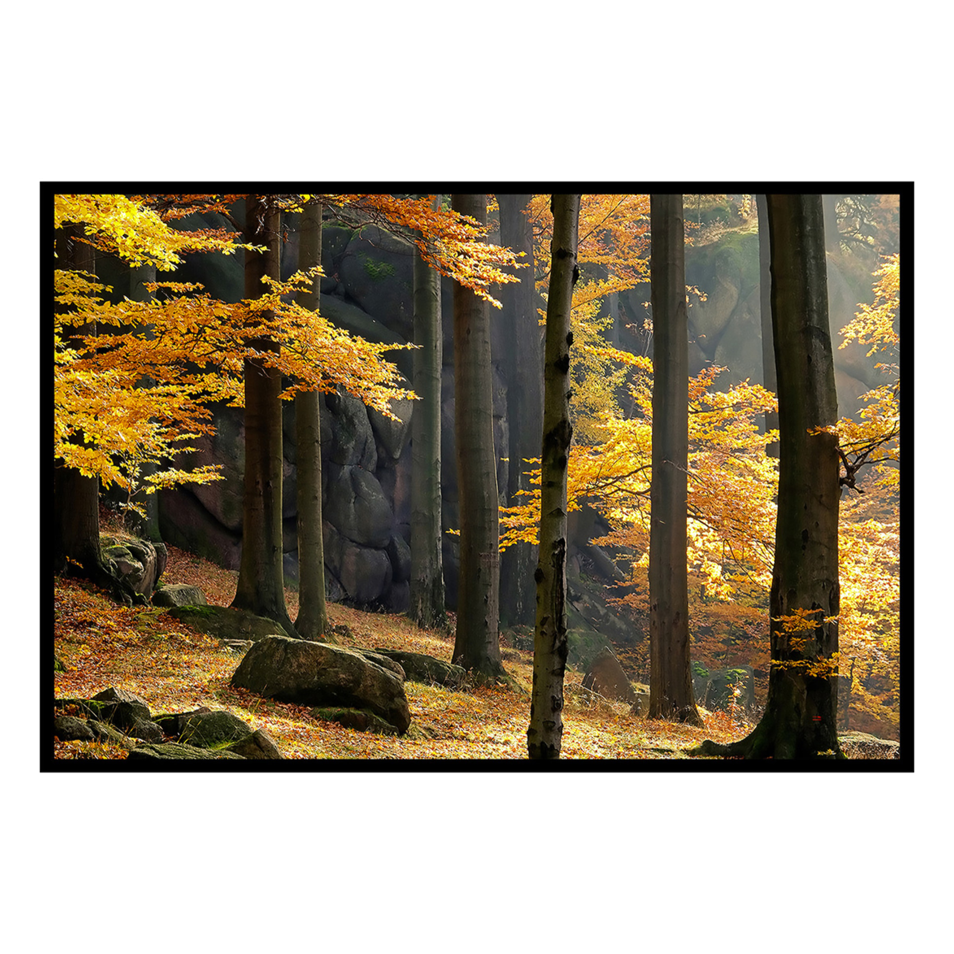 Affiche encadrée forêt d’automne aux couleurs chaudes Affiche + cadre en métal - Noir