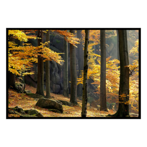 Affiche encadrée forêt d’automne aux couleurs chaudes Affiche + cadre en métal - Noir