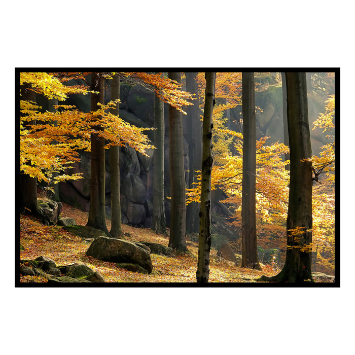 Affiche encadrée forêt d’automne aux couleurs chaudes Affiche + cadre en métal - Noir