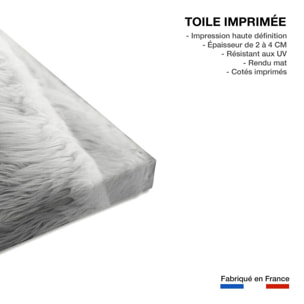 Tableau paysage chien de berger  Toile imprimée