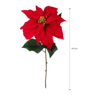 Stella natale - Pezzi 12 - ROSSO - Bianchi Dino SpA