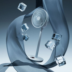 Ventilateur DUUX DXCF105