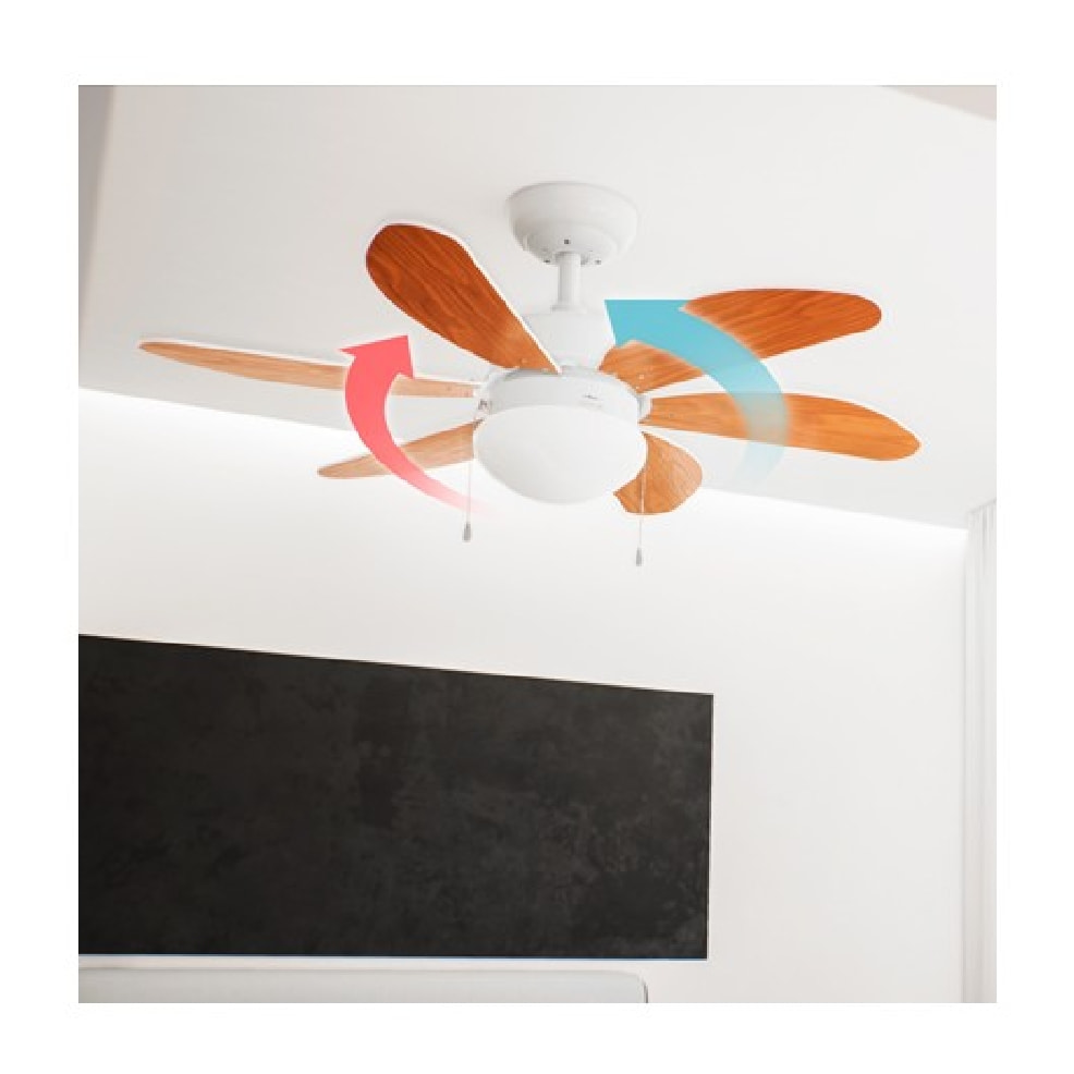 Cecotec Ventilateur de Plafond avec Lumière EnergySilence Aero 360. 50 W, Faible