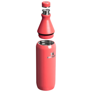 Botella de agua Isotermica - 0,59L - ALL DAY SLIM BOTTLE - Hot Coral Gloss