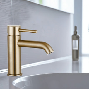 Mitigeur lavabo bec bas PAINI Ortence laiton brossé avec vidage clic clac