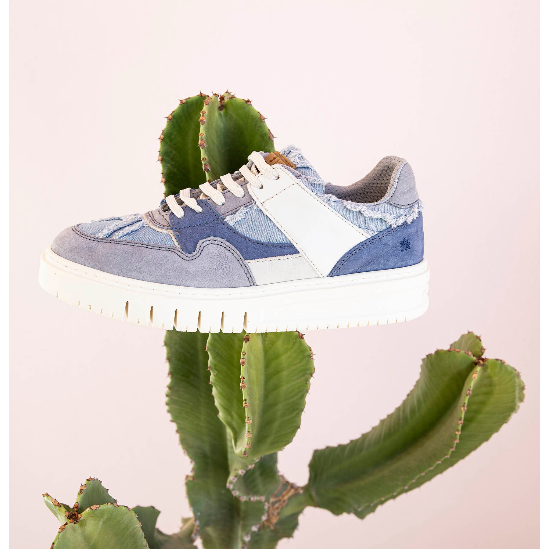 Zapatos 1788 MULTI LEOPARD /BELLEVILLE color Multi leopard