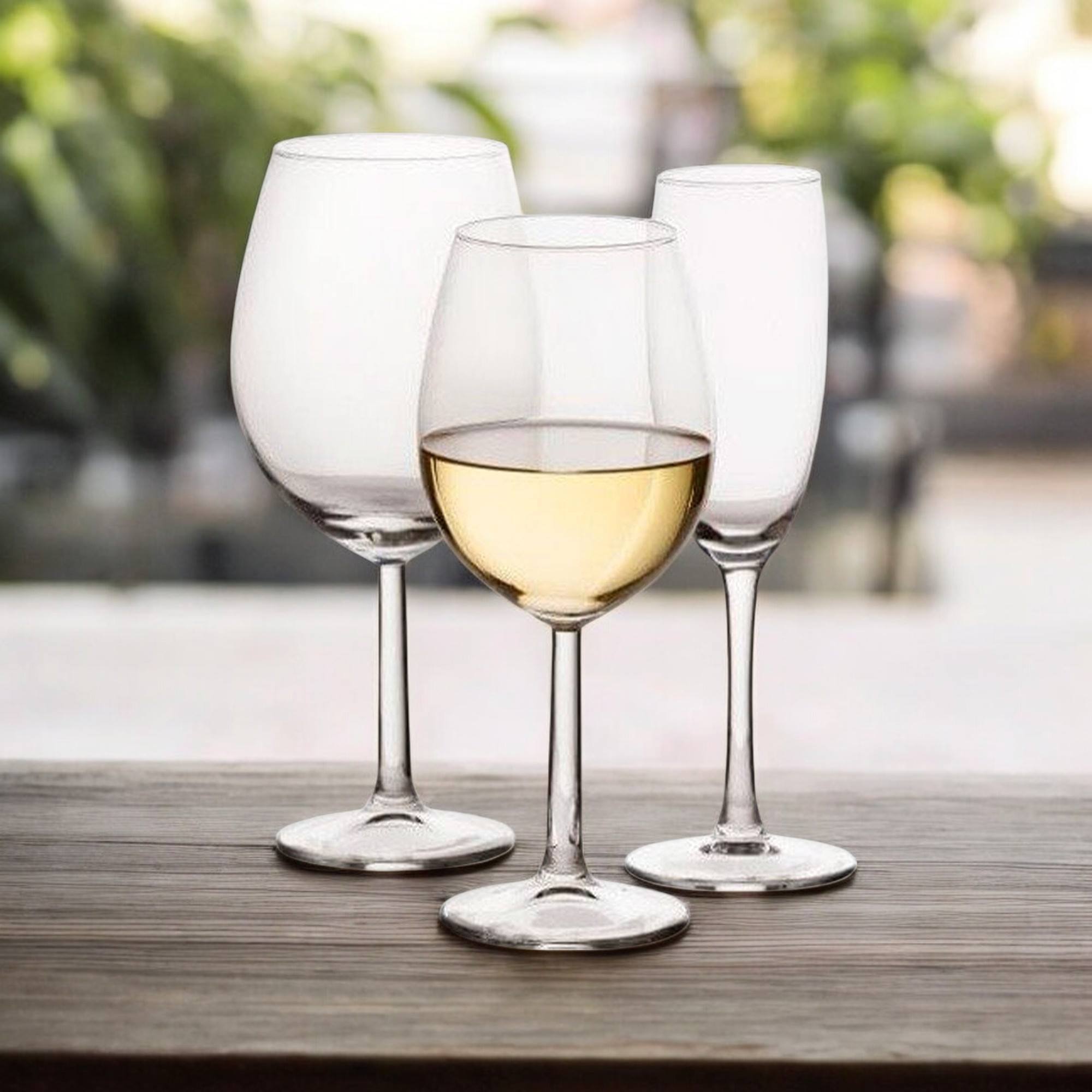 Well home set de 36 copas de vino y champagne