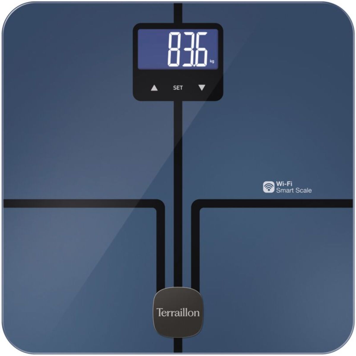 Pèse personne connecté TERRAILLON Master Coach Utra