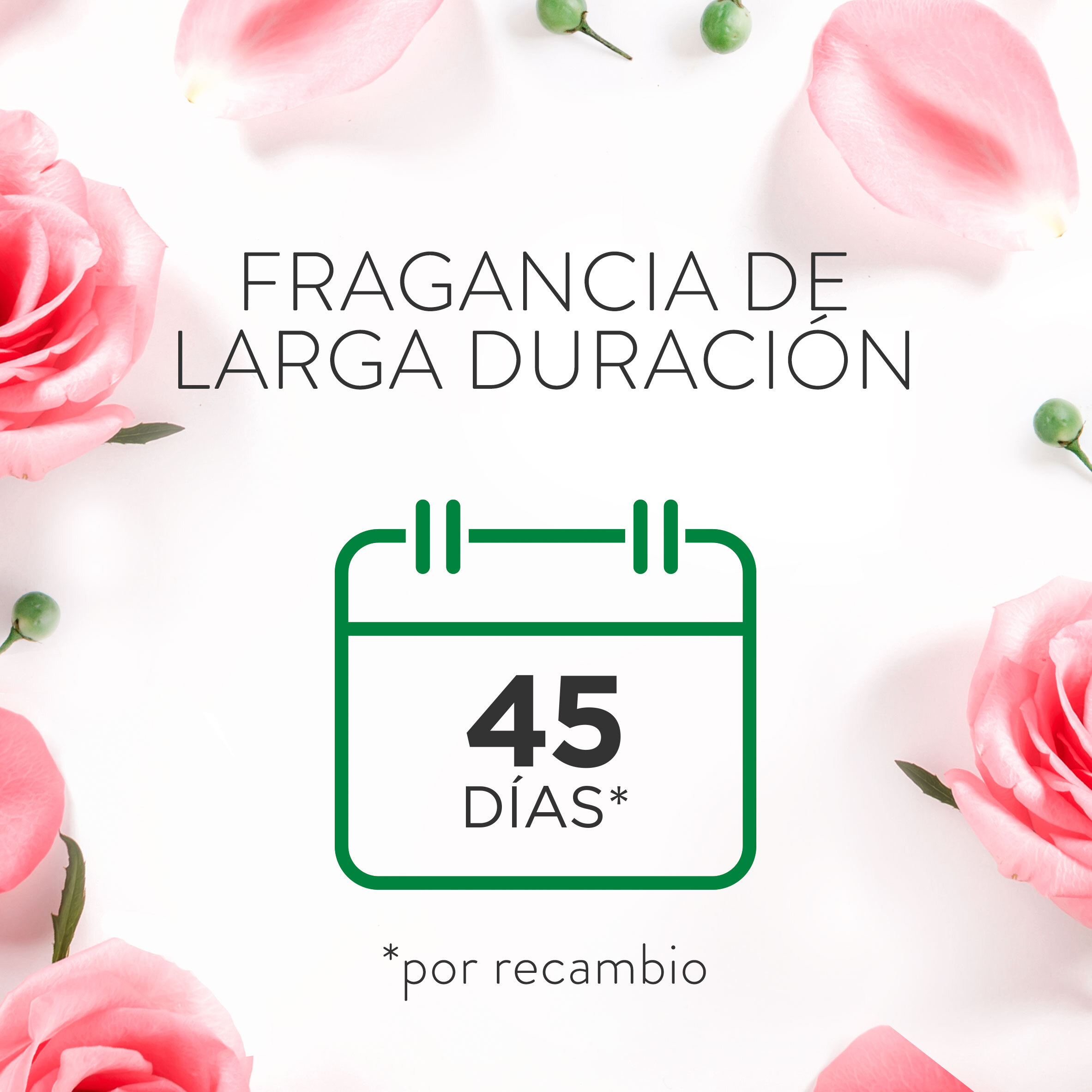 Air Wick Essential Mist - Aparato y recambios de ambientador difusor, esencia para casa con Aroma a Rosa Calmante - pack de 1 aparato y 2 recambios (2 * 45 Días)