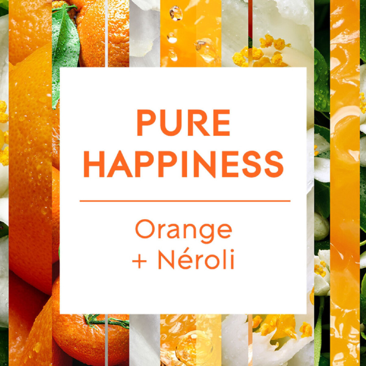 Glade® Aromatherapy - 3 recharges PURE HAPPINESS™ Orange & Néroli