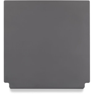 Pierre à pizza WEBER Pierre a pizza Weber Crafted