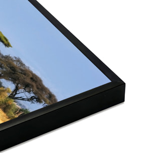 Affiche encadrée antilopes dans la savane africaine Affiche + cadre en métal - Noir