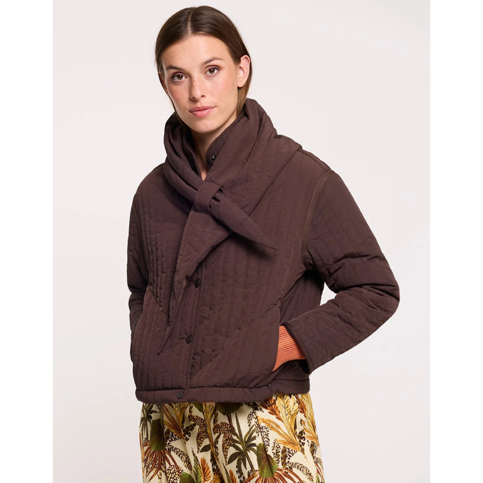 Chaqueta Marrón Chocolate - Zolo