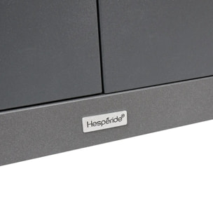 Desserte de jardin 2 portes Oxyana gris graphite