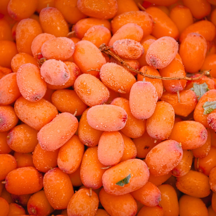 OBLEPIKHA - Sels de Bain Anti-stress 600gr