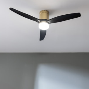 Ventilatori da soffitto EnergySilence Aero 5600 Aqua GoldBlack Connected Cecotec